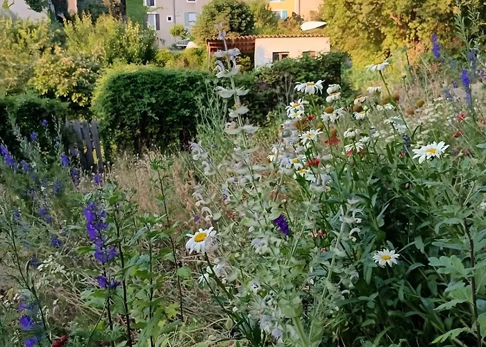 Des Jardins