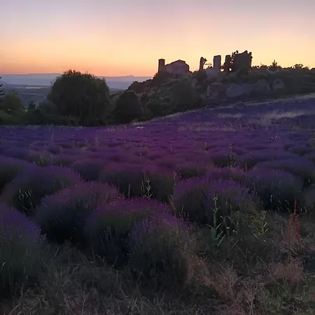 Апартаменты Des Jardins *