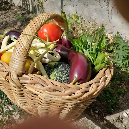 Des Jardins